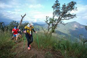 BIB: 
                            <button type="button" onclick="openModal(22372783)" class="btn btn-primary btn-sm float-right btn-popup" data-toggle="modal" data-target=".modal-high-quality">
                        <i class="fas fa-shopping-cart"></i> Add to Cart
                    </button>
                                            <button type="button" onclick="isThisMe(22372783, true)" class="btn btn-success btn-sm float-right btn-popup btn-isme hidden" data-toggle="tooltip" data-placement="bottom" title="นี่คือรูปของคุณใช่ไหม คลิกที่นี่เพื่อเอาเข้าอัลบั้ม">
                        <i class="fas fa-plus"></i> Add to album
                    </button>
                    <button type="button" onclick="isThisMe(22372783, false)" class="btn btn-warning btn-sm float-right btn-popup btn-isnotme hidden">
                        <i class="fas fa-ban"></i> Remove from album
                    </button>